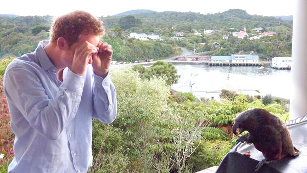 Prince Harry meeting a kaka on the Stewart Island Lodge balcony