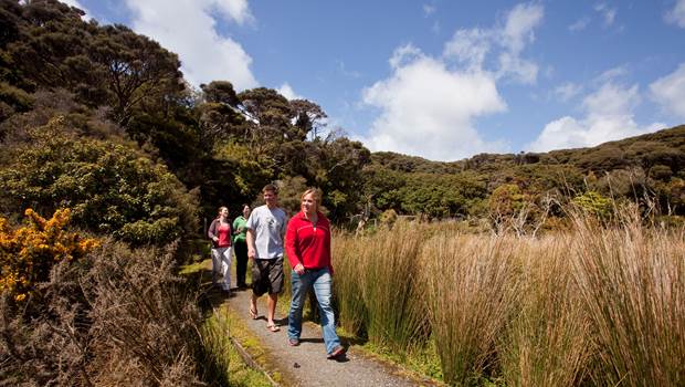 Group on a guided walk on Stewart Island