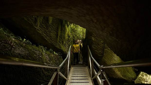 People walking down walkway into glowworm caves