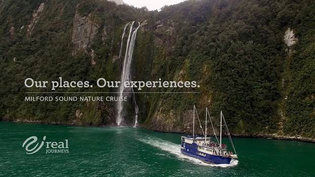 Video of Milford Sound day tour nature cruise