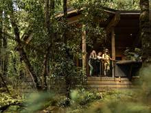Three guests stand outside a hut in the middle of the forest, looking up at the surrounding trees 